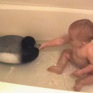 Bathing With a Decoy 002