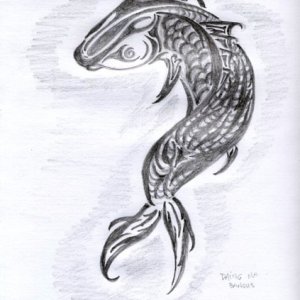tribal fish 550x250