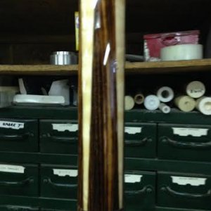 forearm