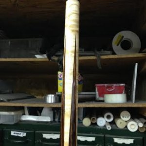 forearm & joint