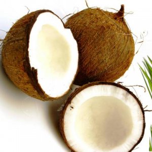 coconut