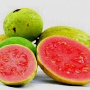 red guava