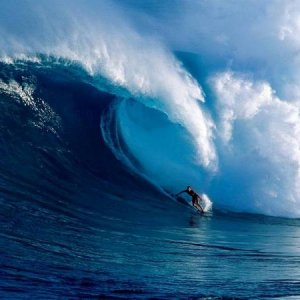saltwater 4