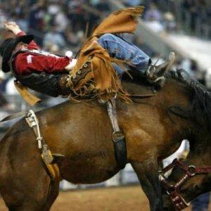 Rodeo
