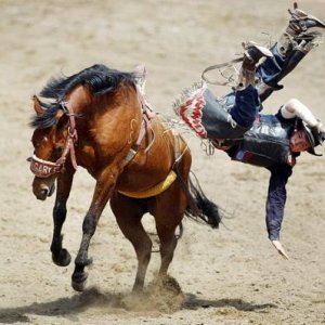 Rodeo