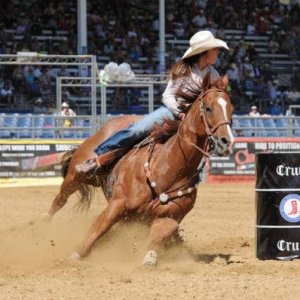 Rodeo