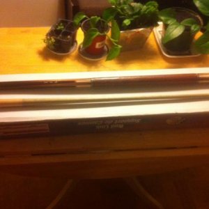photo(3)