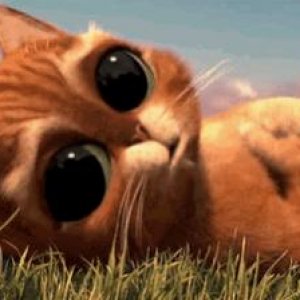 Cute