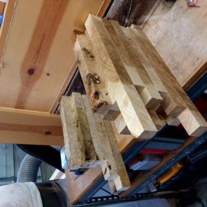 White oak