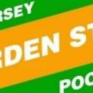 THE GARDEN STATE POOL TOUR LOGO!!!