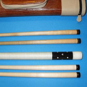 TS ivory3
