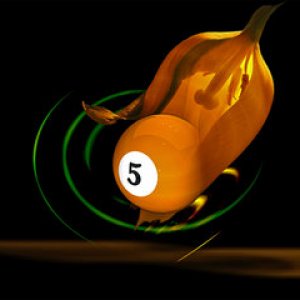 Naval Orange