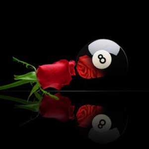 Rosey 8