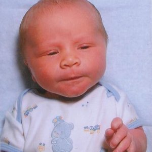 1 day old, bridge hand?