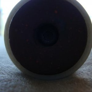 Verl Horn 003