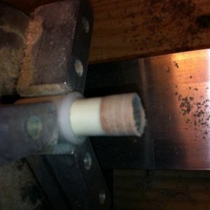 Tip cut down to ferrule.