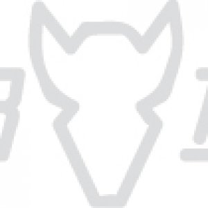 BBLogo