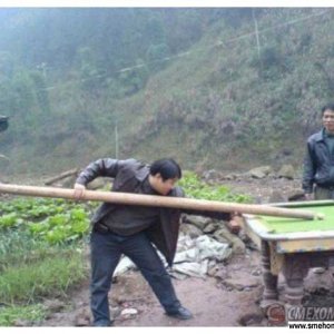 a.baa to play billiards