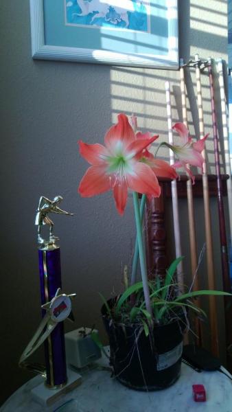 223467 10151300129803546 1555072806 n