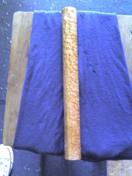 BEM forearm blank