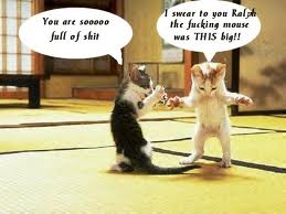 CATS