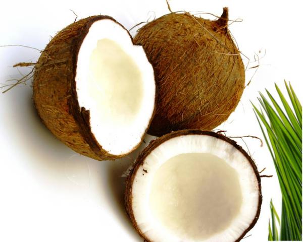 coconut
