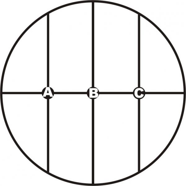 CTE Pro One  ABC ref points