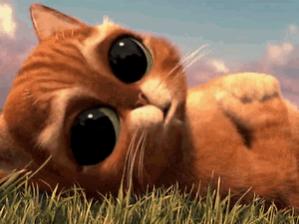 Cute