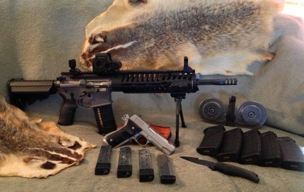 Group Photo: Custom Colt Commander( magna ported, etc.,etc.)
POF multi cal w/EoTec, Laser & light & extras...( Badger pelts)