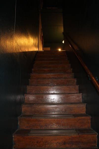 IMG 1471