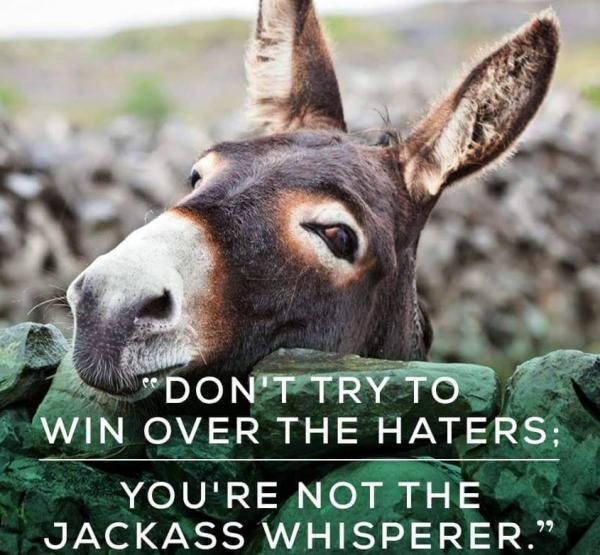 Jackass Whisperer