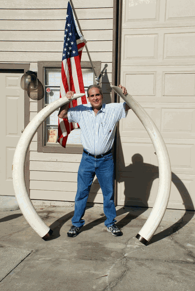 Joe, the owner of Cue Components holding a pair of their latest and largest pre ban aquisitions purchased recently. The tusks, a pair of the largest a
