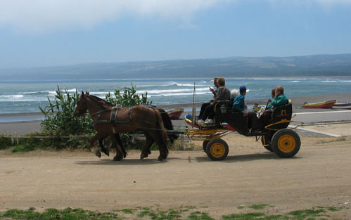 Localtaxi