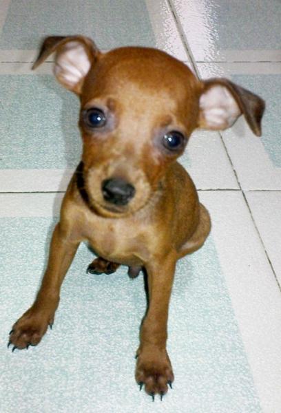 My baby2