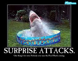 POOLSHARK