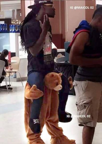 Poor Bear