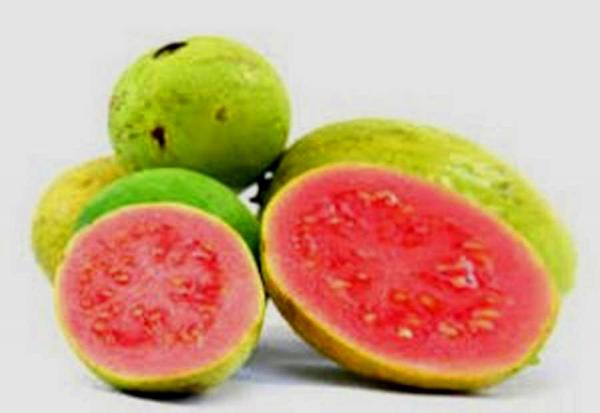 red guava