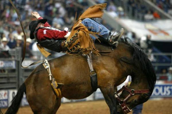 Rodeo