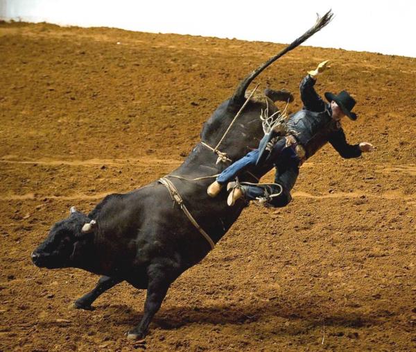 Rodeo