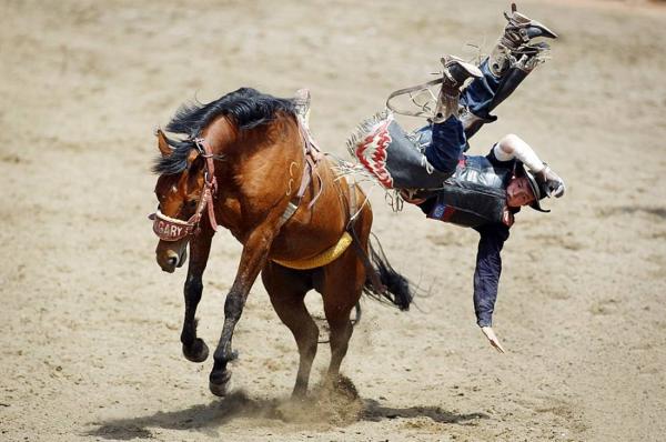 Rodeo