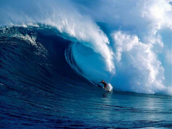 saltwater 4