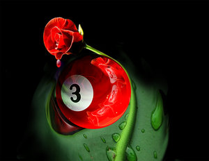 Third Rose