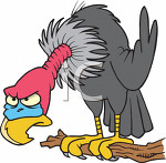 Vulture