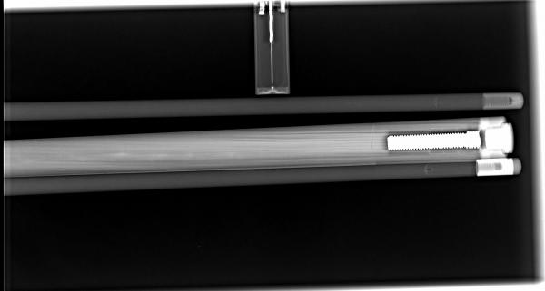 X-Ray Butt and bottom half