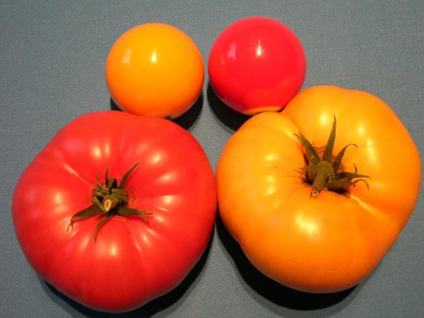 Yellow & Red